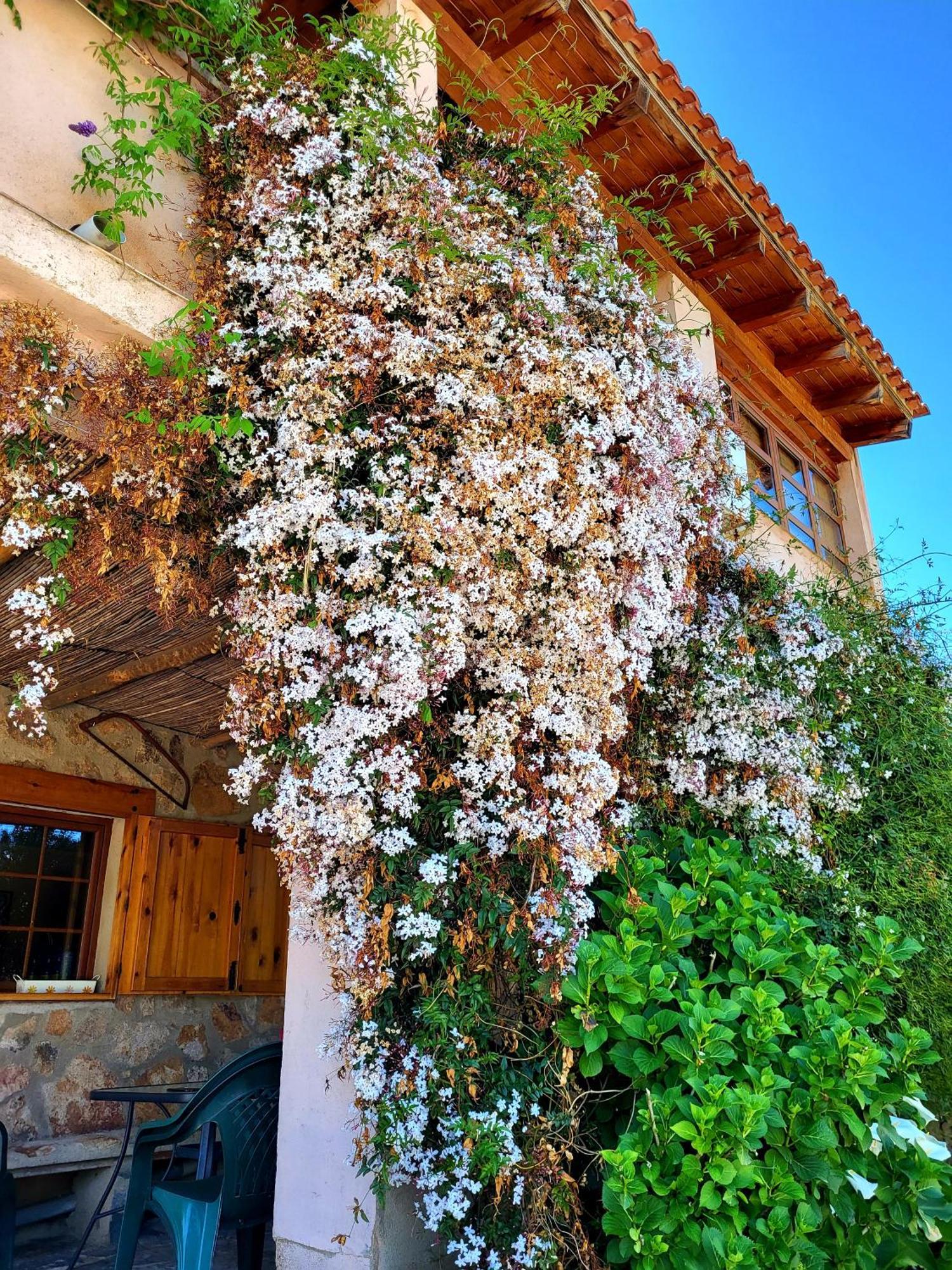 Casa Rural Balcon Del Camino Viejo Valencia de Alcántara Екстериор снимка